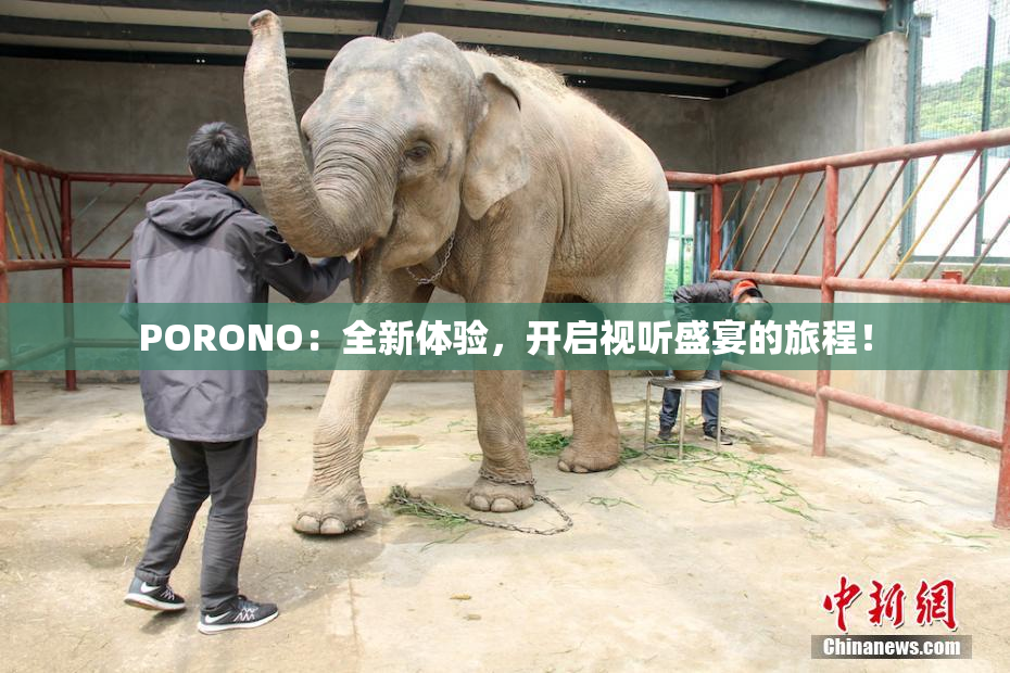 PORONO：全新体验，开启视听盛宴的旅程！