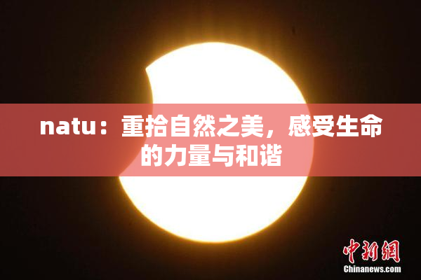 natu：重拾自然之美，感受生命的力量与和谐