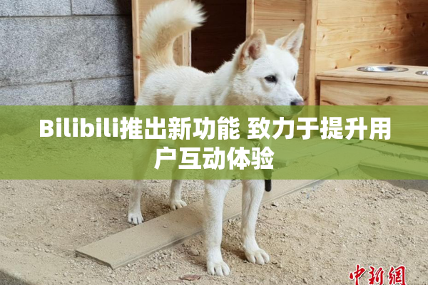 Bilibili推出新功能 致力于提升用户互动体验