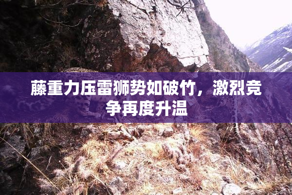 藤重力压雷狮势如破竹，激烈竞争再度升温