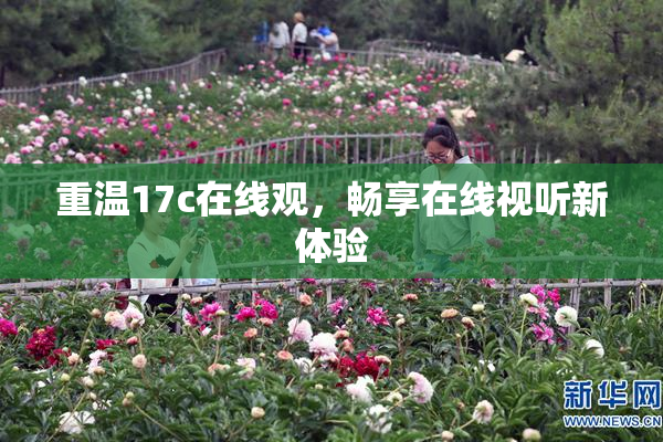 重温17c在线观，畅享在线视听新体验
