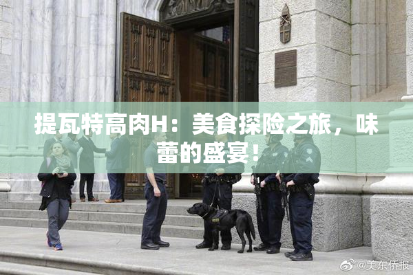提瓦特高肉H：美食探险之旅，味蕾的盛宴！