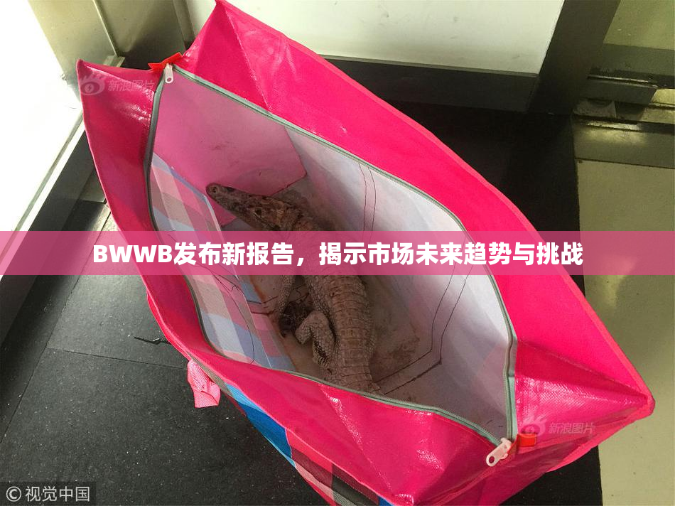 BWWB发布新报告，揭示市场未来趋势与挑战