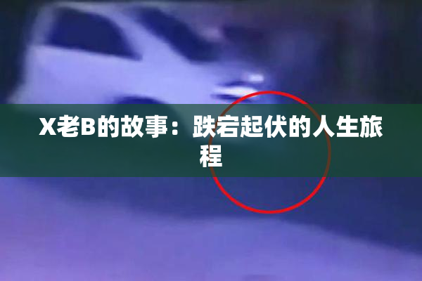 X老B的故事：跌宕起伏的人生旅程