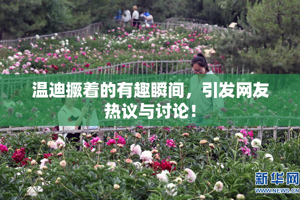 温迪撅着的有趣瞬间，引发网友热议与讨论！