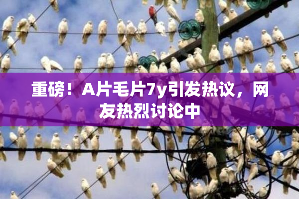 重磅！A片毛片7y引发热议，网友热烈讨论中
