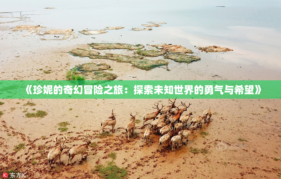 《珍妮的奇幻冒险之旅：探索未知世界的勇气与希望》
