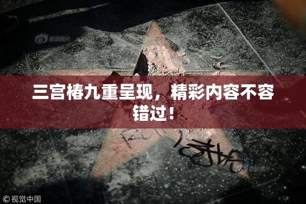 三宫椿九重呈现，精彩内容不容错过！