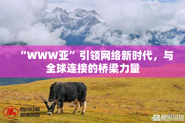 “WWW亚”引领网络新时代，与全球连接的桥梁力量