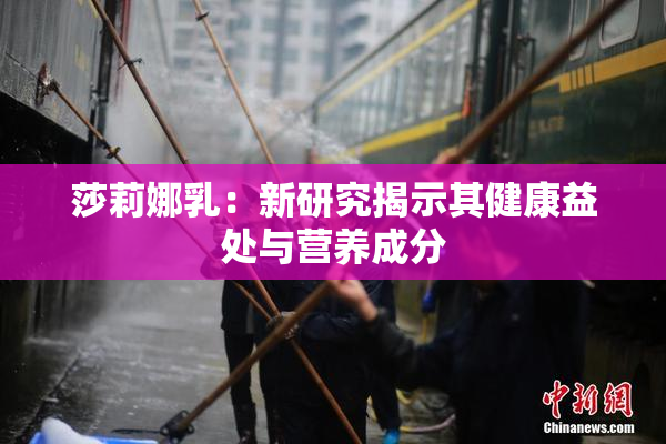 莎莉娜乳：新研究揭示其健康益处与营养成分