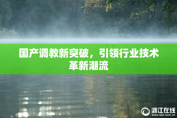 国产调教新突破，引领行业技术革新潮流