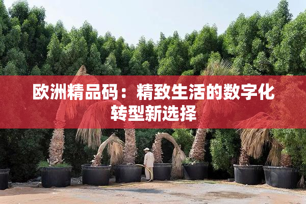 欧洲精品码：精致生活的数字化转型新选择