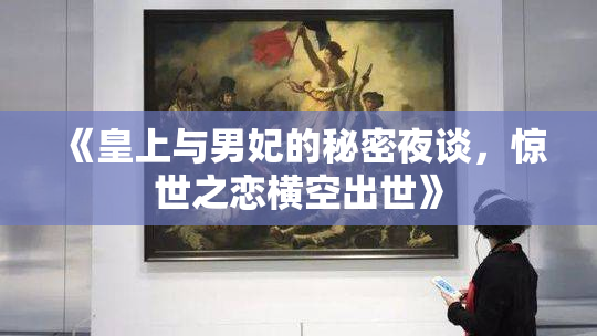 《皇上与男妃的秘密夜谈，惊世之恋横空出世》