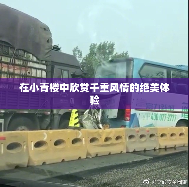 在小青楼中欣赏千重风情的绝美体验