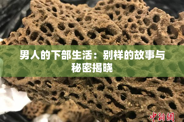 男人的下部生活：别样的故事与秘密揭晓