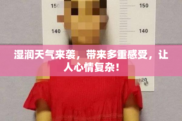 湿润天气来袭，带来多重感受，让人心情复杂！