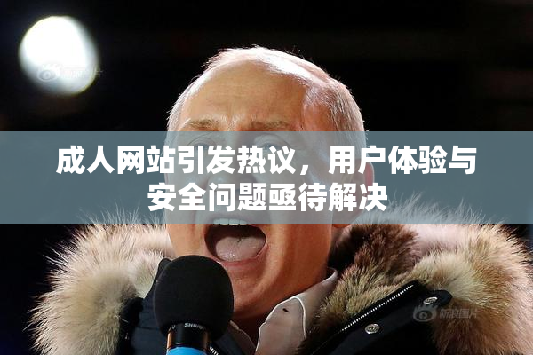 成人网站引发热议，用户体验与安全问题亟待解决
