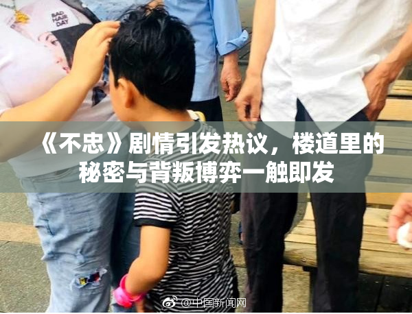 《不忠》剧情引发热议，楼道里的秘密与背叛博弈一触即发