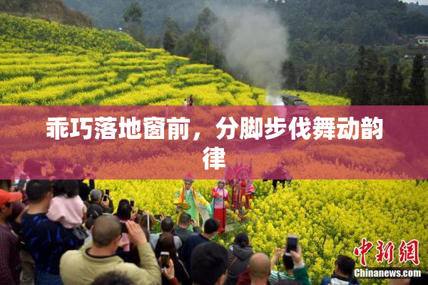 乖巧落地窗前，分脚步伐舞动韵律