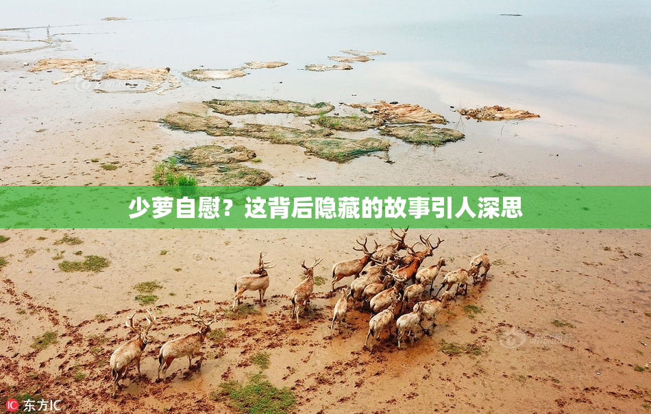 少萝自慰？这背后隐藏的故事引人深思