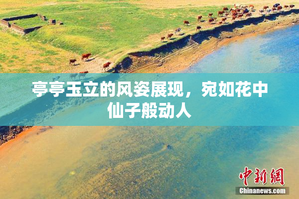 亭亭玉立的风姿展现，宛如花中仙子般动人