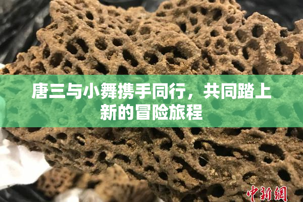 唐三与小舞携手同行，共同踏上新的冒险旅程