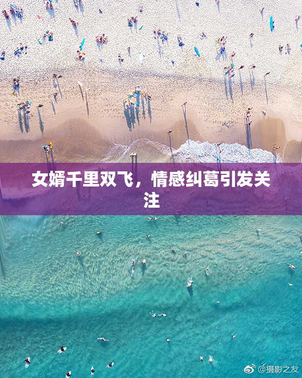 女婿千里双飞，情感纠葛引发关注