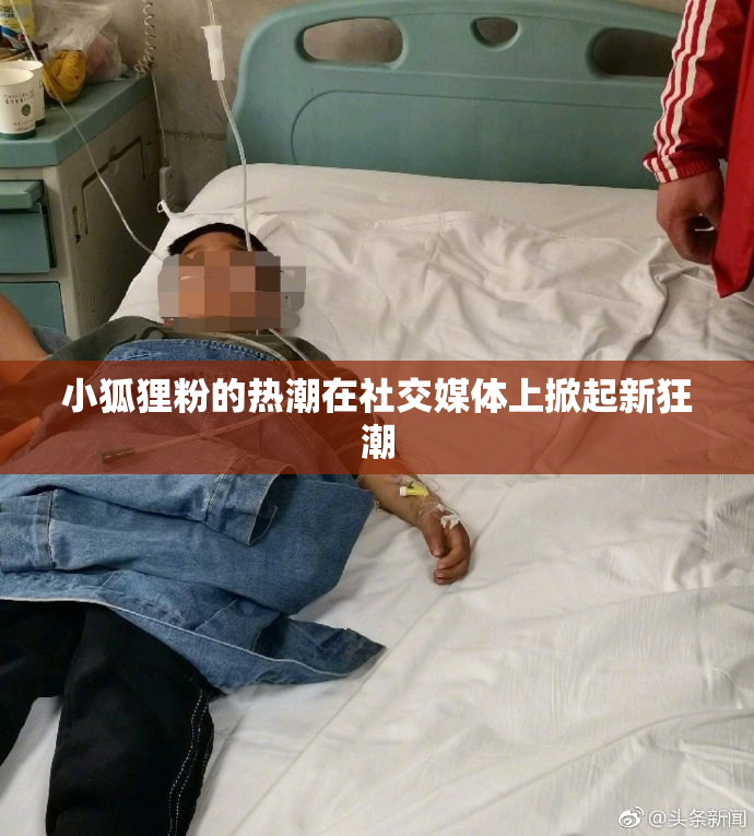 小狐狸粉的热潮在社交媒体上掀起新狂潮