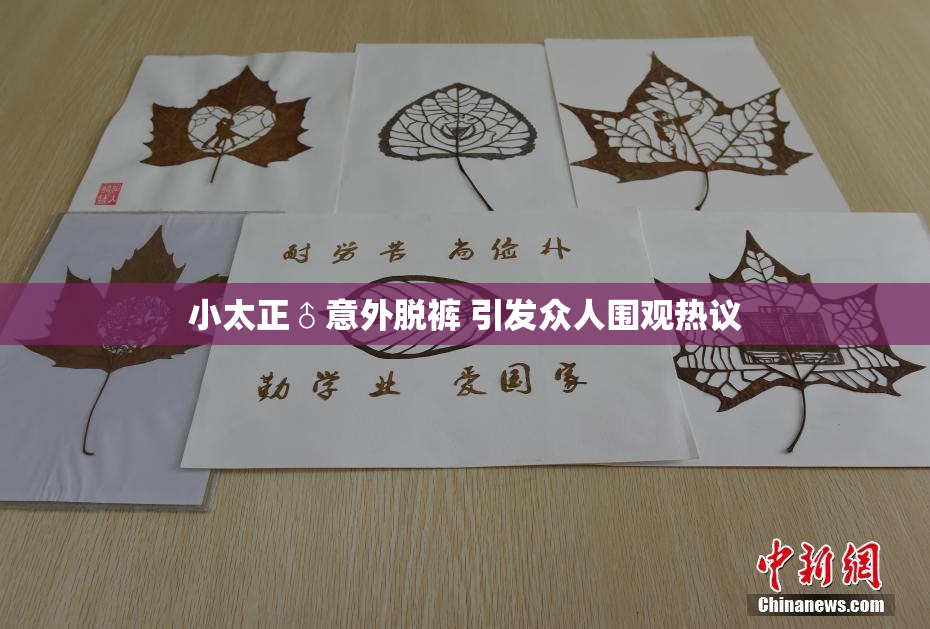 小太正♂意外脱裤 引发众人围观热议