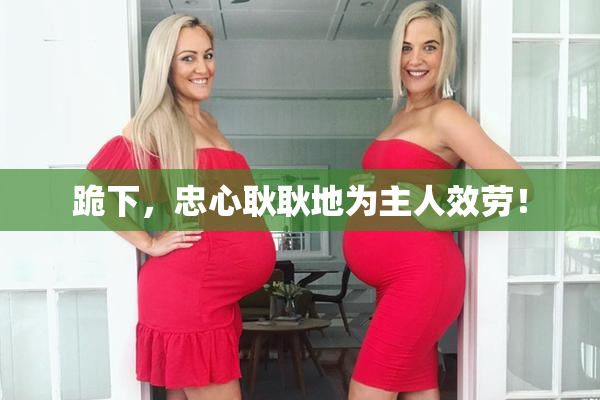 跪下，忠心耿耿地为主人效劳！