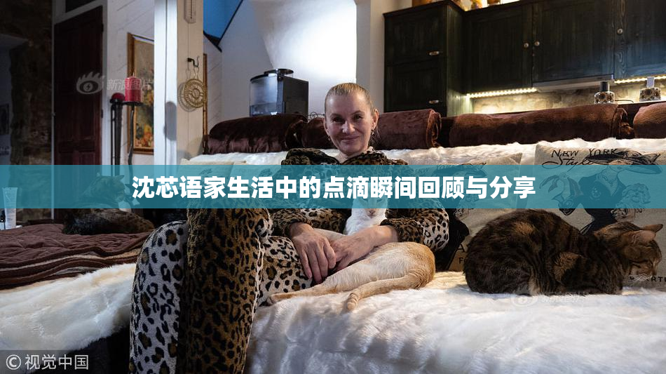 沈芯语家生活中的点滴瞬间回顾与分享