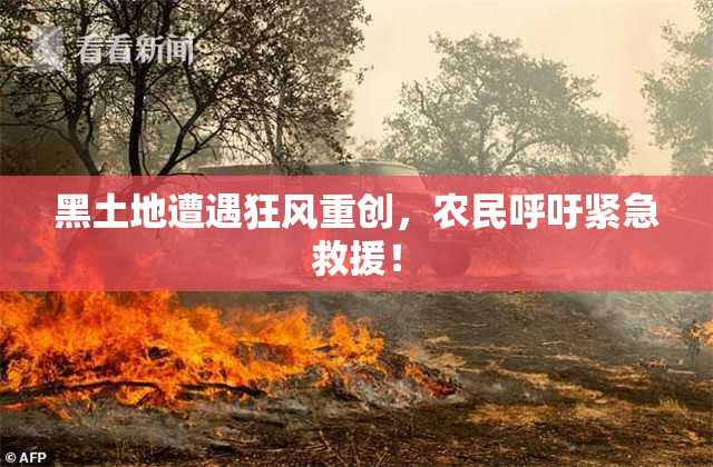 黑土地遭遇狂风重创，农民呼吁紧急救援！