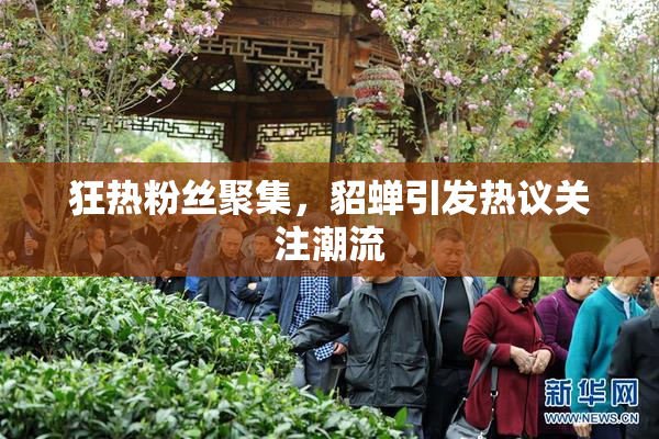 狂热粉丝聚集，貂蝉引发热议关注潮流