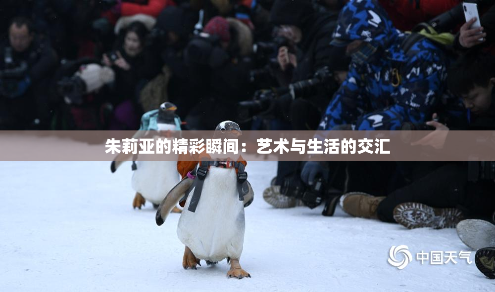 朱莉亚的精彩瞬间：艺术与生活的交汇