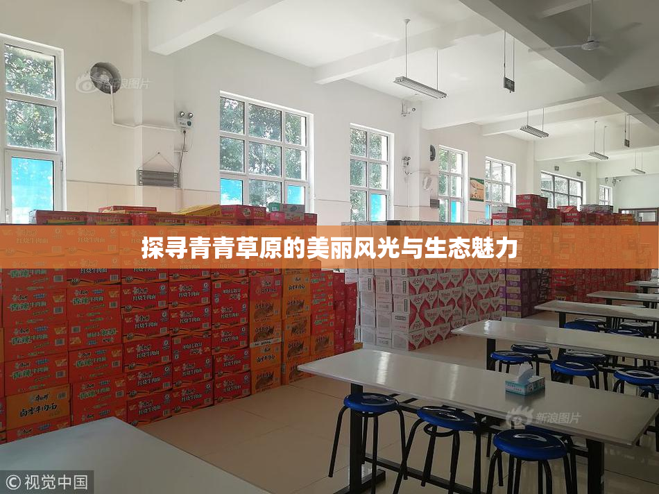 探寻青青草原的美丽风光与生态魅力