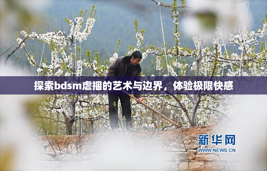探索bdsm虐捆的艺术与边界，体验极限快感