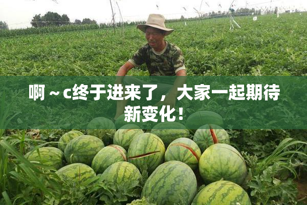 啊～c终于进来了，大家一起期待新变化！