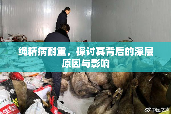 绳精病耐重，探讨其背后的深层原因与影响
