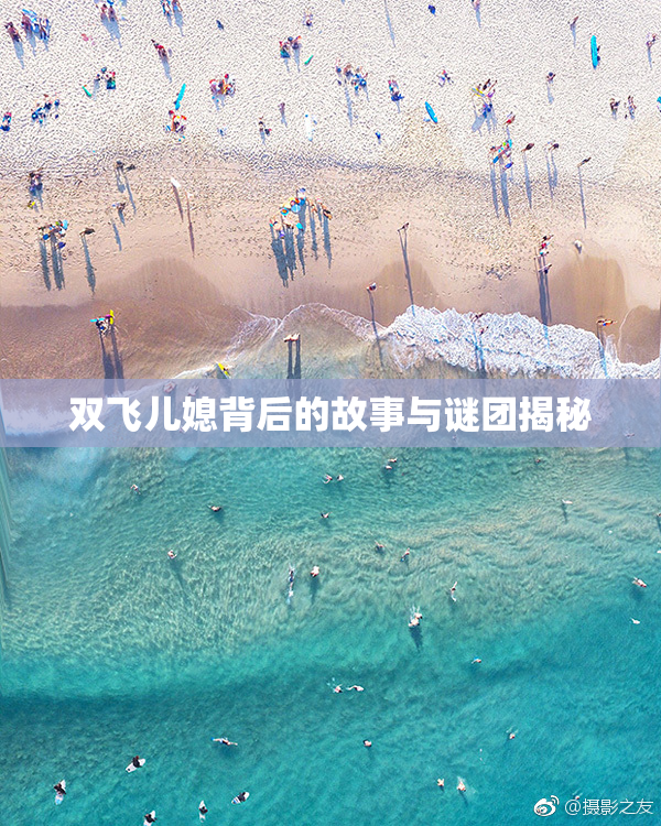 双飞儿媳背后的故事与谜团揭秘