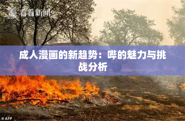 成人漫画的新趋势：哔的魅力与挑战分析