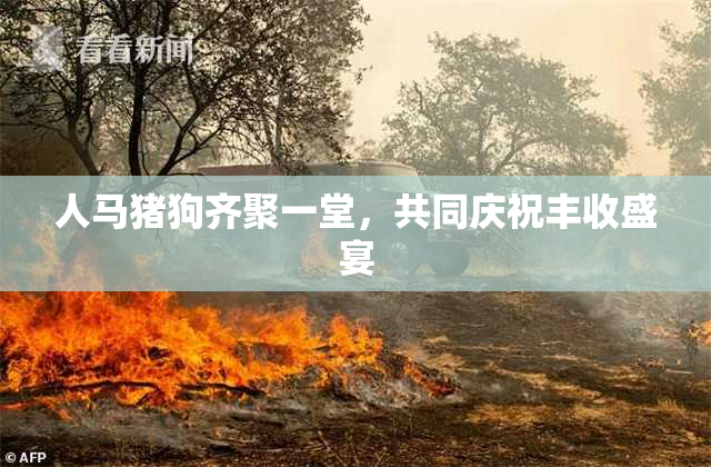 人马猪狗齐聚一堂，共同庆祝丰收盛宴