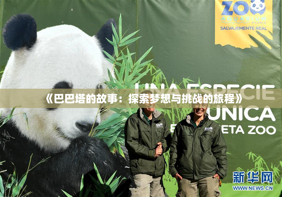 《巴巴塔的故事：探索梦想与挑战的旅程》