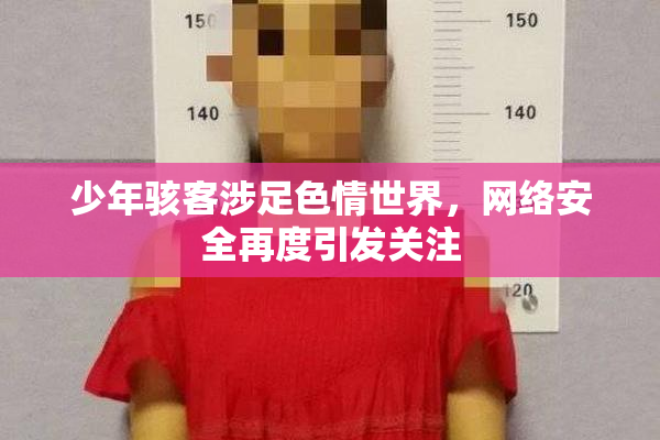 少年骇客涉足色情世界，网络安全再度引发关注