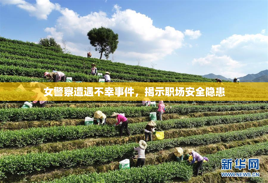 女警察遭遇不幸事件，揭示职场安全隐患