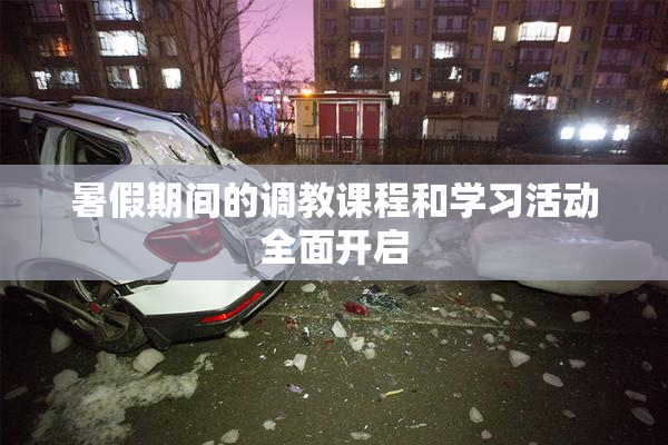 暑假期间的调教课程和学习活动全面开启