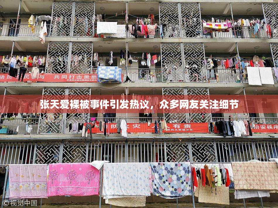 张天爱裸被事件引发热议，众多网友关注细节