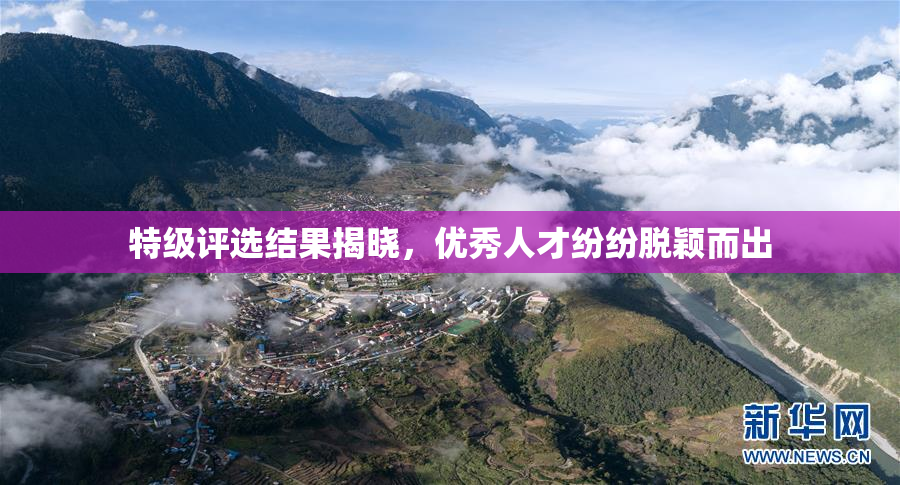 特级评选结果揭晓，优秀人才纷纷脱颖而出