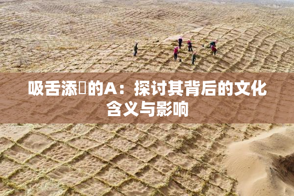 吸舌添泬的A：探讨其背后的文化含义与影响