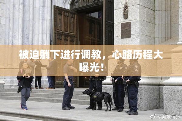 被迫躺下进行调教，心路历程大曝光！