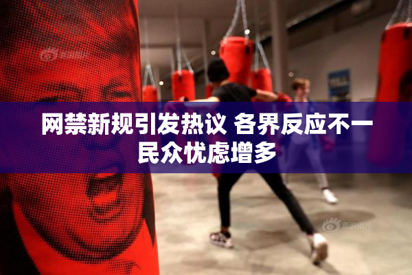 网禁新规引发热议 各界反应不一民众忧虑增多